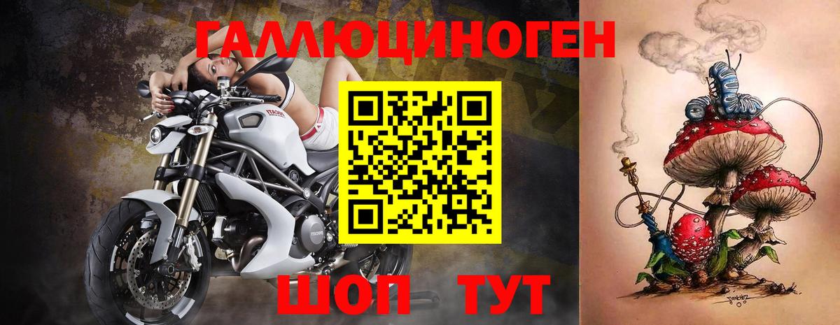 Чебаркуль  Галлюциногенные грибы Psilocybe  Вход с VPN 