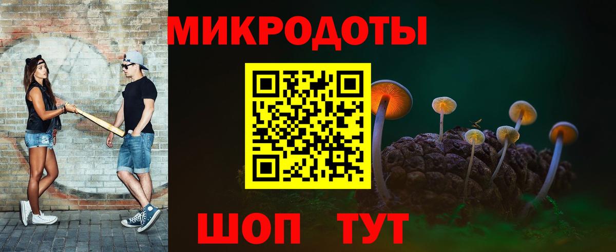Псилоцибиновые грибы Psilocybine cubensis Чебаркуль